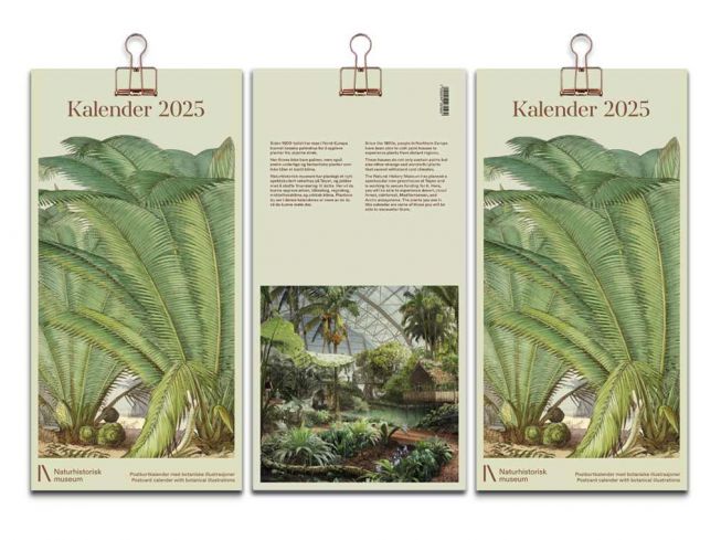 Postkortkalender 2025 - 3 stk for 600.-