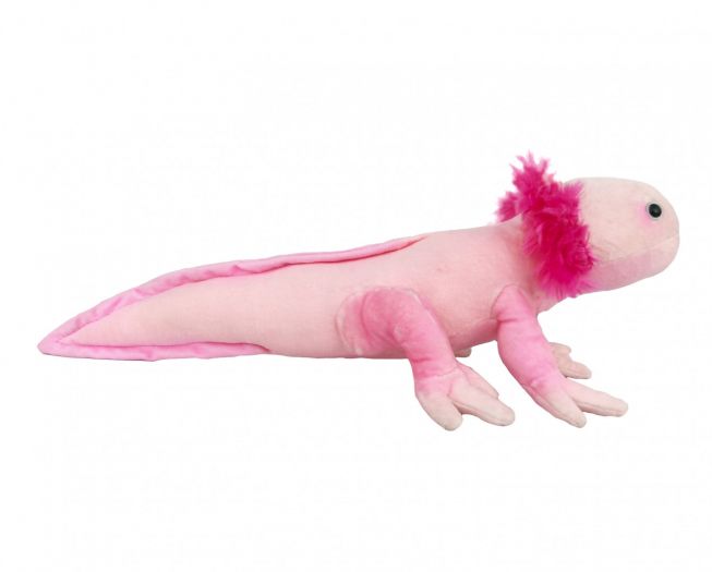 Axolotl [38 cm] Wild Republic