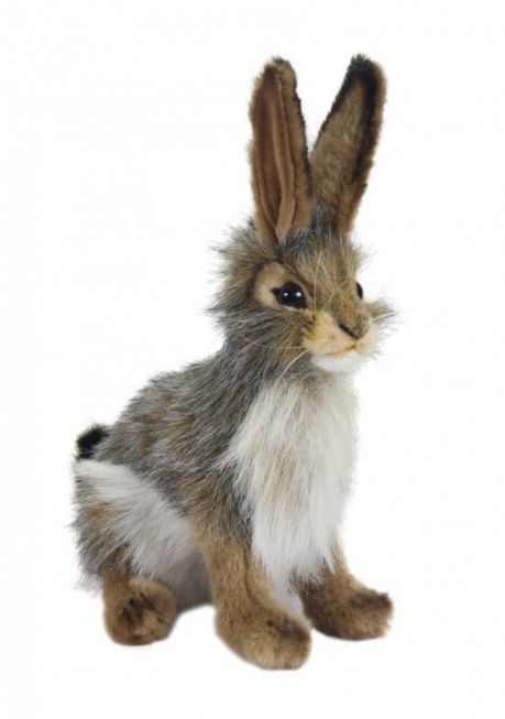 Svarthalet eselhare [Black Tailed Rabbit] 23 cm Hansa