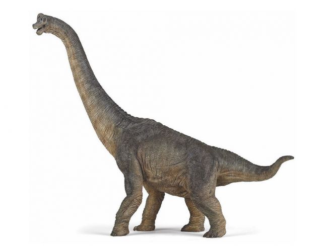 Brachiosaurus  Papo