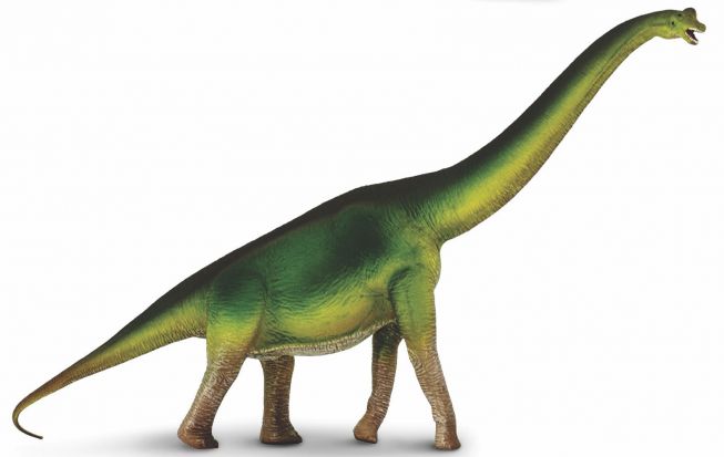 Brachiosaurus Safari