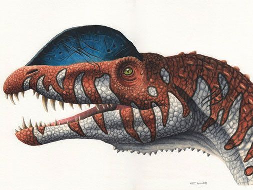 Dilophosaurus - Esther van Hulsen