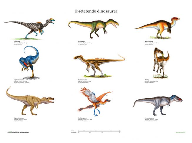 Kjøttetende dinosaurer - UTGÅTT