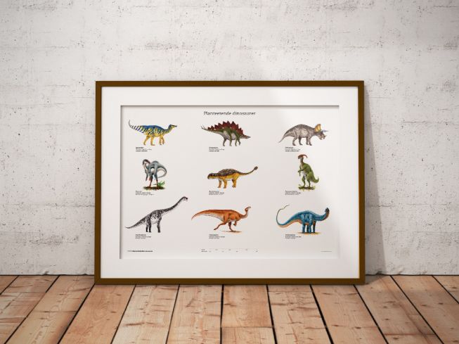 Planteetende dinosaurer 50x70cm