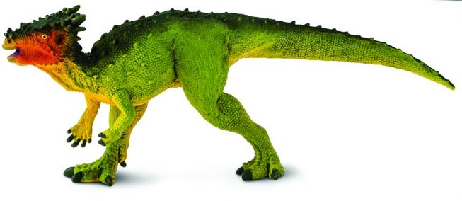 Dracorex Safari