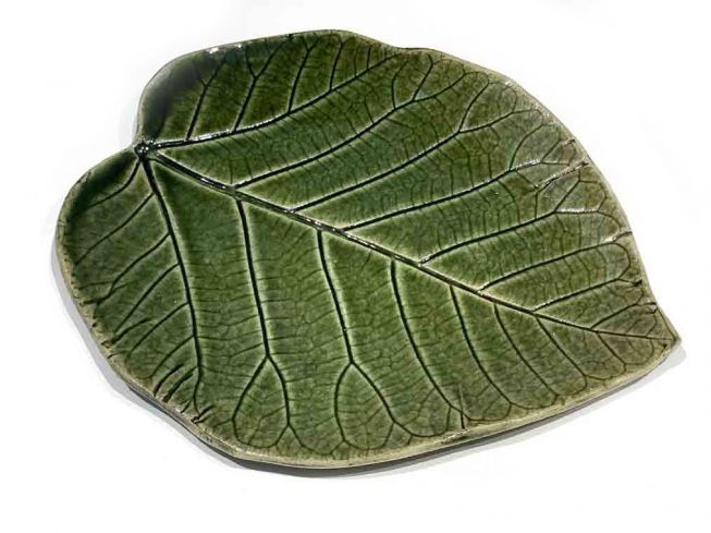 Keramikkfat Ficus vasta 20 cm