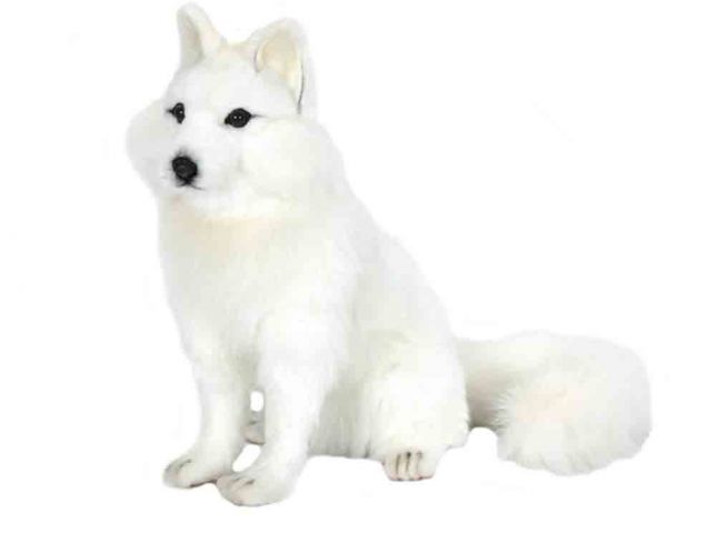 Polarrev [Snow Fox Sitting] 28 cm Hansa