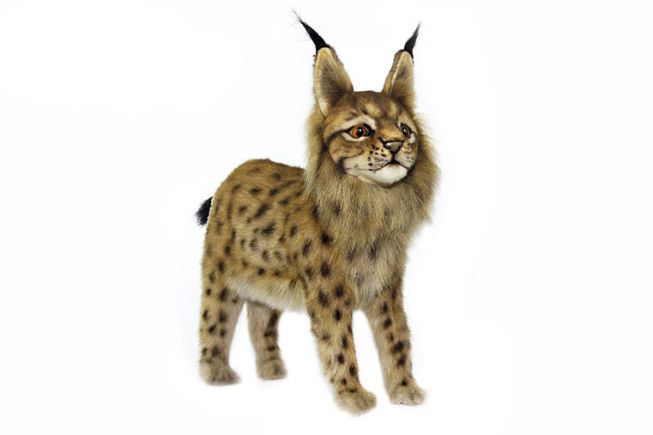 Gaupe [Euresian Lynx Standing] 33 cm Hansa