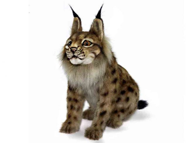 Gaupe [Euresian Lynx Sitting] 33 cm Hansa