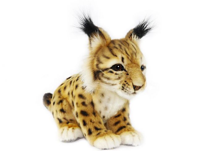 Gaupeunge [Lynx Cub] 26 cm Hansa