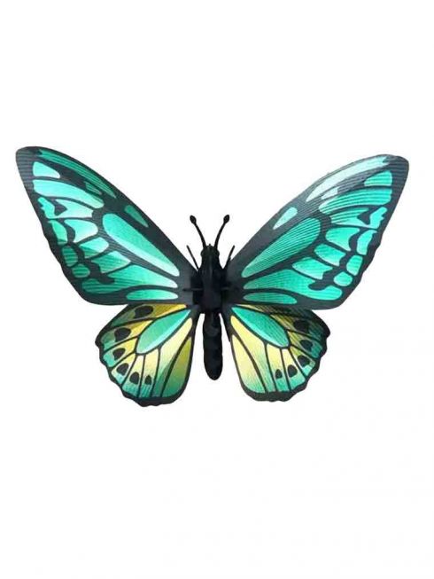 Sommerfugl [Green birdwing butterfly] 3 D