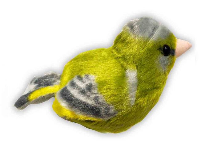 Grønnfink [Greenfinch]