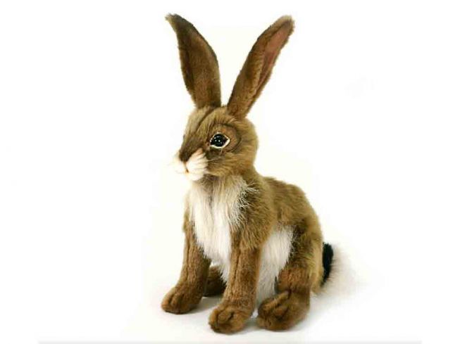 Hare [Jack Rabbit - Noah`s Ark] 23 cm