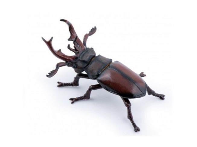 Hjortebille Papo [Stag beetle]