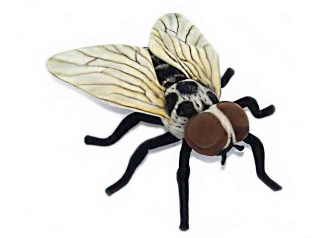 Husflue [Maggot Fly] 20 cm Hansa