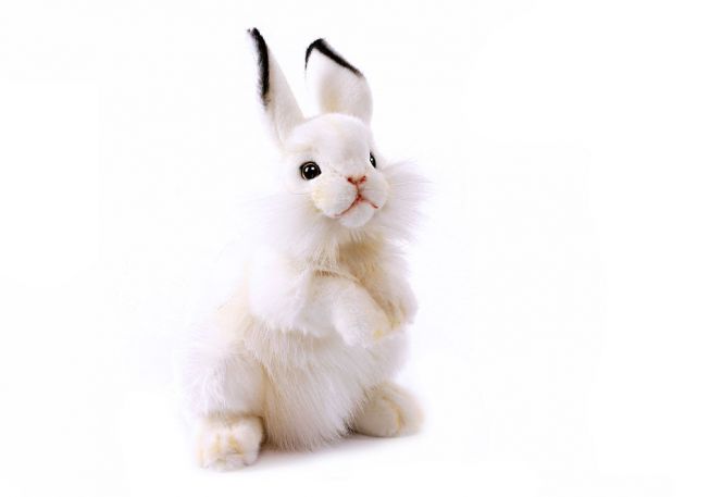 Kanin [White Rabbit] 32 cm Hansa