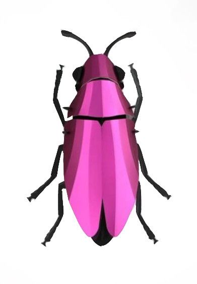 Praktbille [Jewel Beetle] 3D