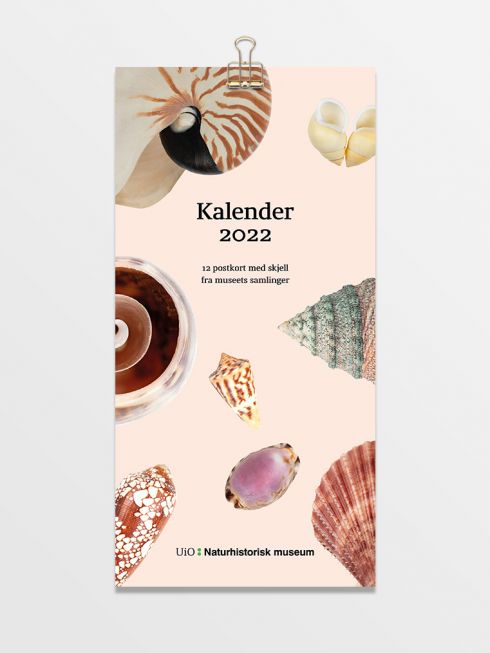 Postkortkalender med skjell 2022