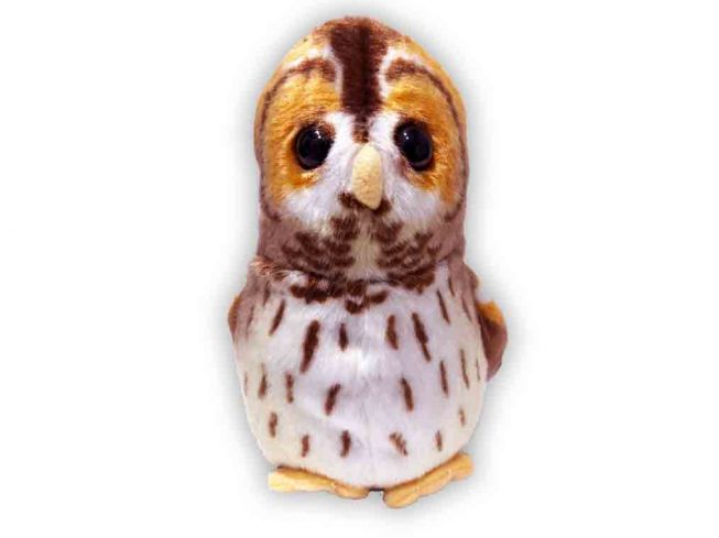 Kattugle [Tawny owl]