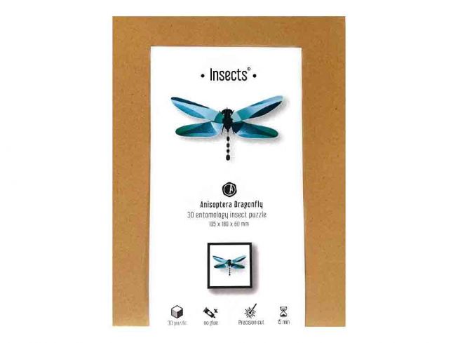 Libelle [Dragonfly] Anisoptera 3D