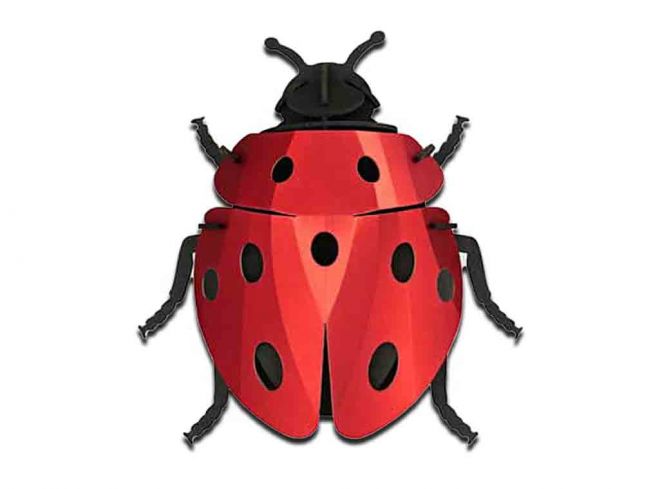 Marihøne [Ladybug] 3D