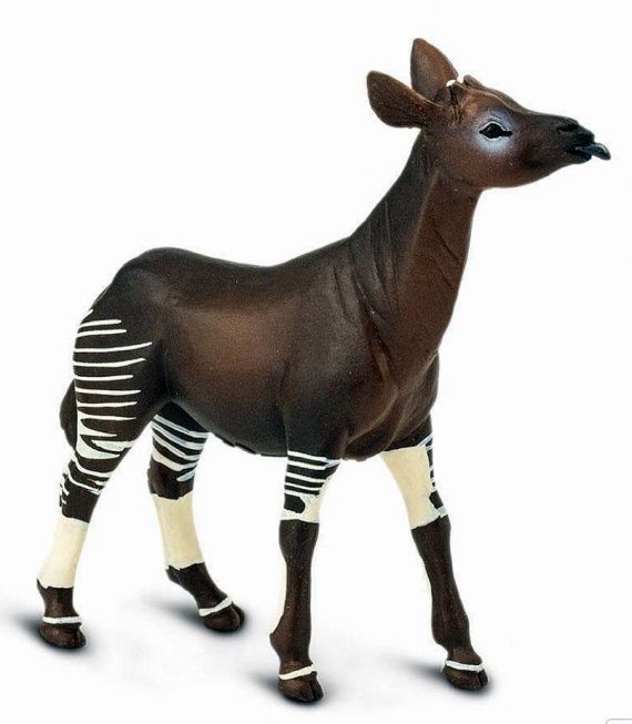 Okapi Safari