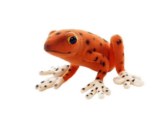 Jordbærfrosk [Strawberry Poison Dart Frog] 17 cm Hansa