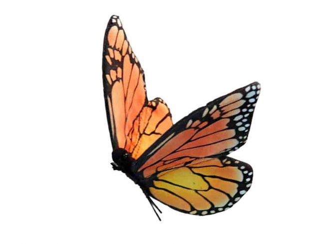 Oransj sommerfugl 14 cm Hansa