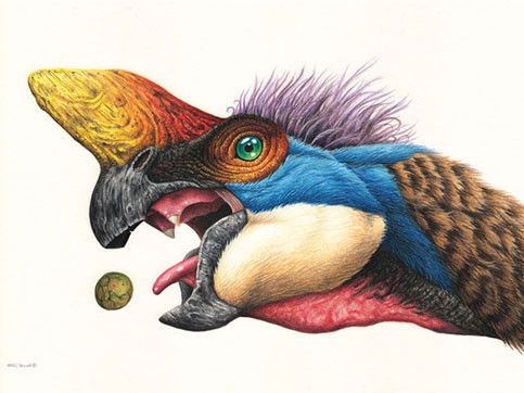 Oviraptor - Esther van Hulsen