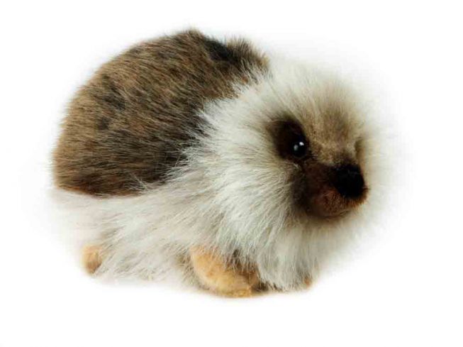 Pinnsvin [Hedgehog] Hansa