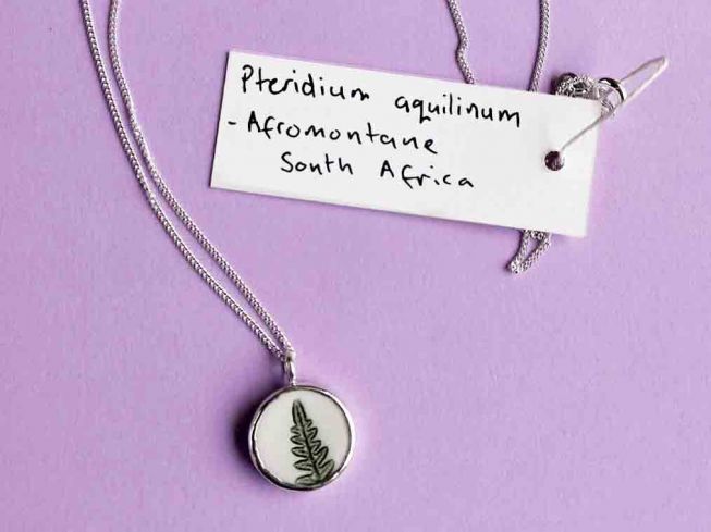 Pteridium aquilinum grønn m/sølvkant