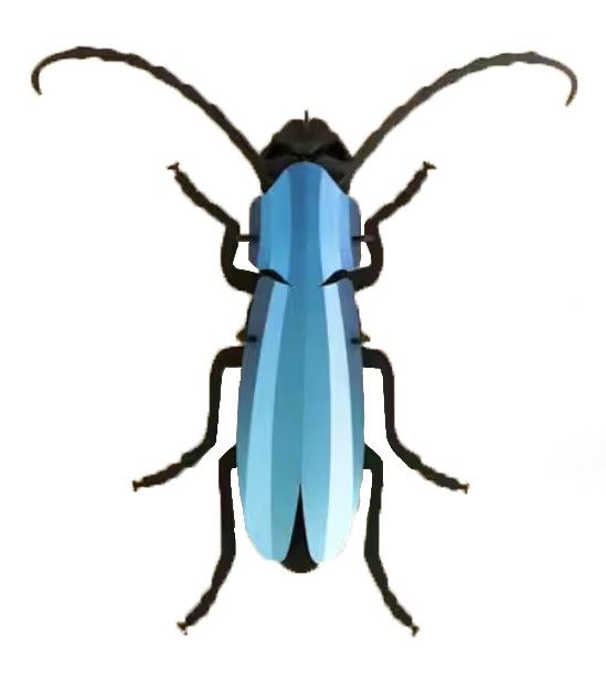 Alpebukk [Rosalia Beetle] 3D