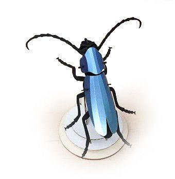 Alpebukk [Rosalia Beetle] 3D