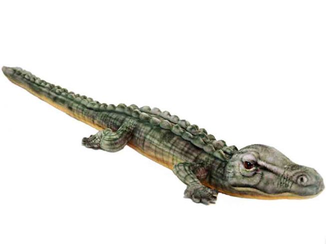 Saltvannskrokodille [Crocodile Salt Water] 70 cm Hansa