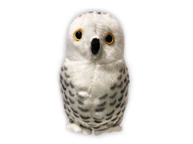 Snøugle [Snowy owl]