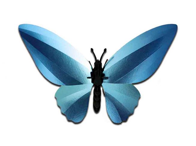 Sommerfugl [Birdwing Butterfly] 3D