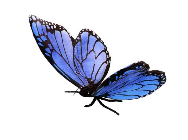 Sommerfugl blå [Blue Butterfly] 13 cm Hansa