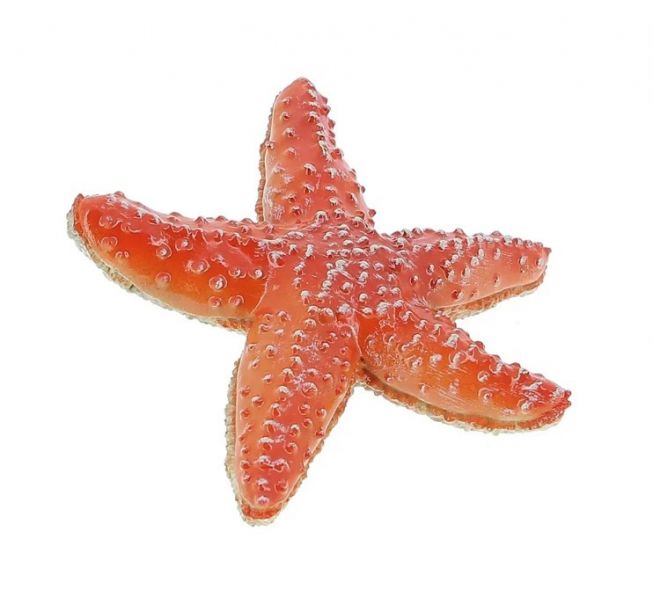 Starfish[sjøstjerne] Papo