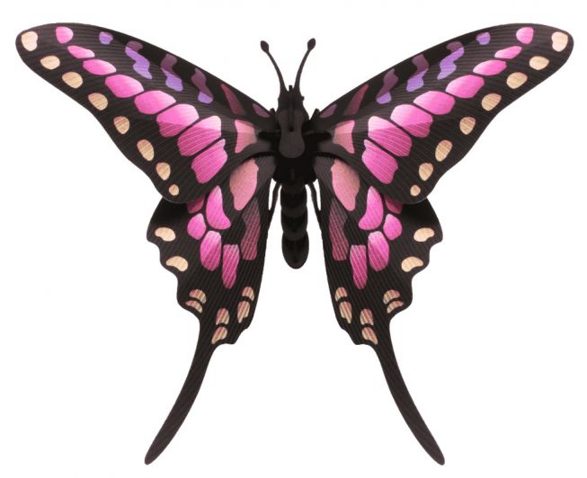 Sommerfugl [Common Swordtail butterfly] 3D