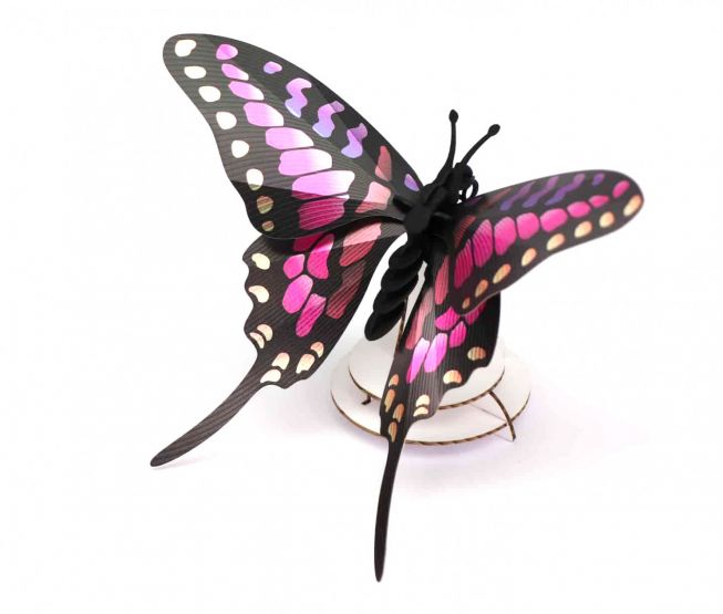 Sommerfugl [Common Swordtail butterfly] 3D