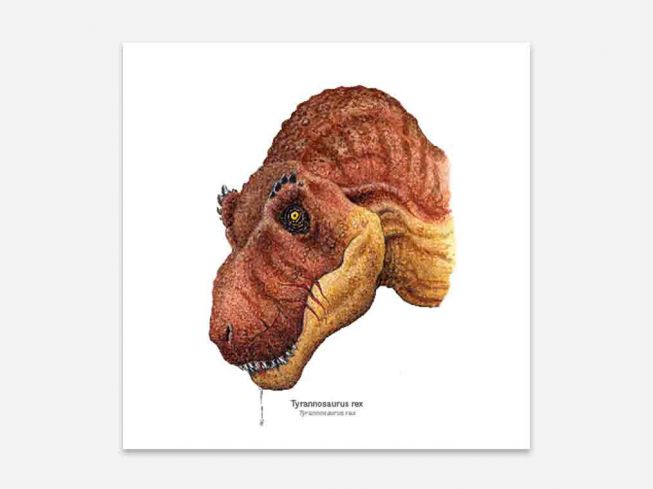 Postkort Tyrannosaurus rex