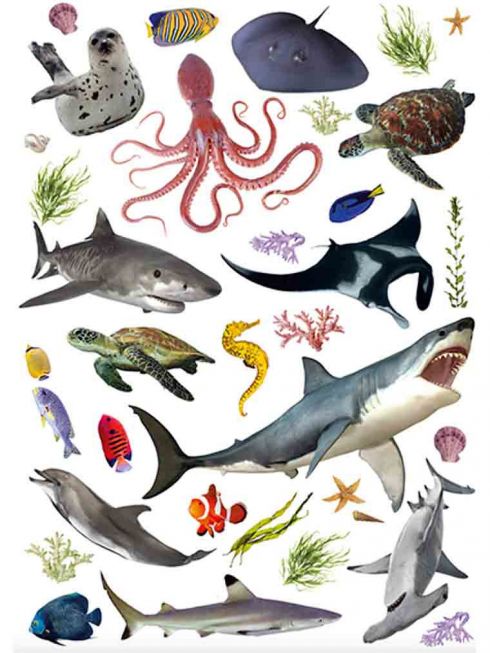 Veggklistremerker m/ havets dyr