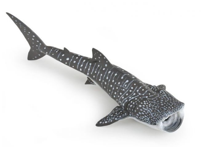 Hvalhai  [Whale shark]  Papo